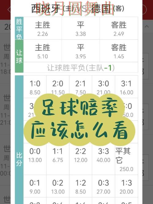 世界杯买球官网赔率变化怎么看更合理详细解析 世界杯买球官网赔率变化怎么看更合理详细解析